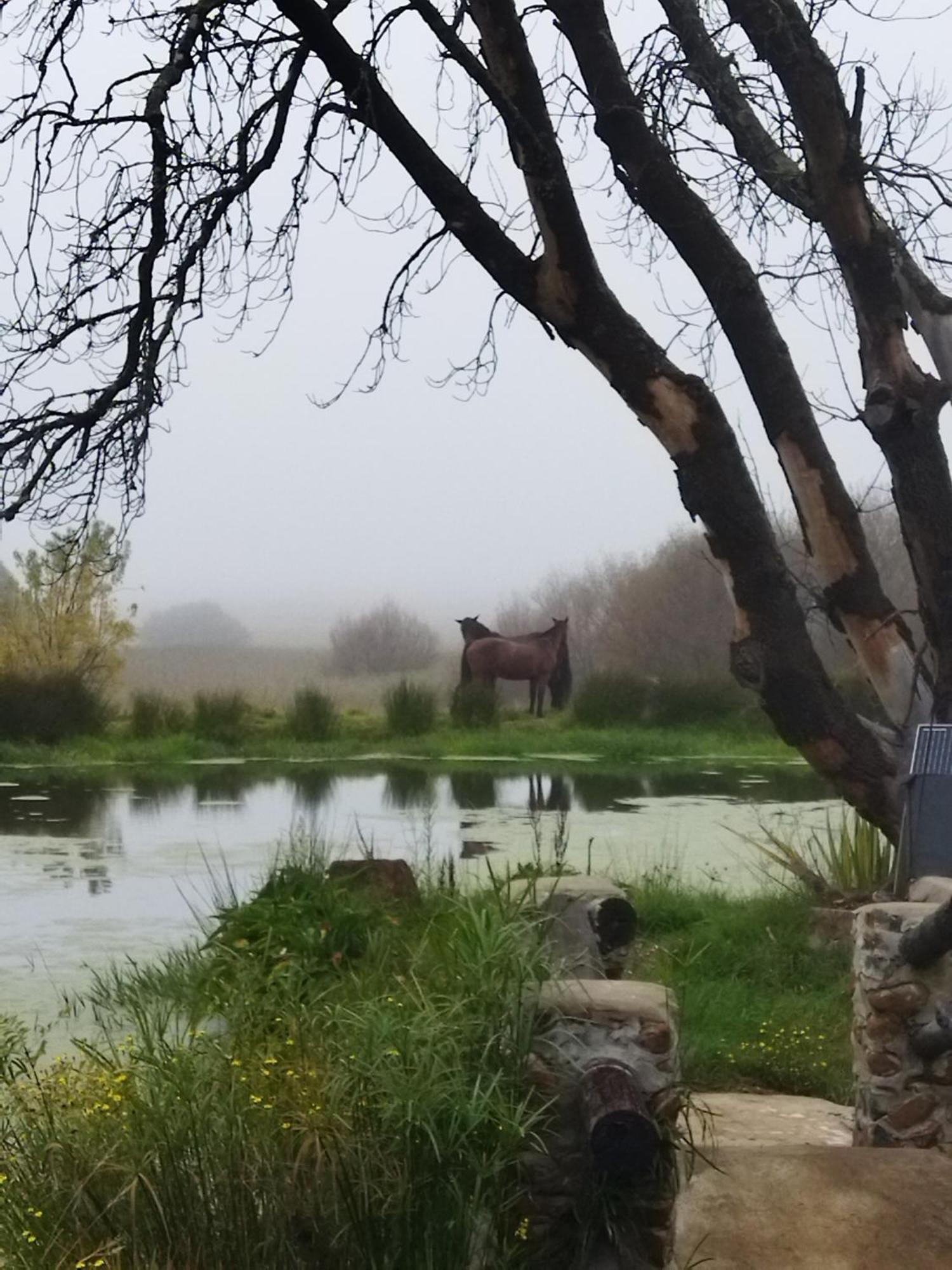 Hotel Flitwick Ranch Swartberg Esterno foto